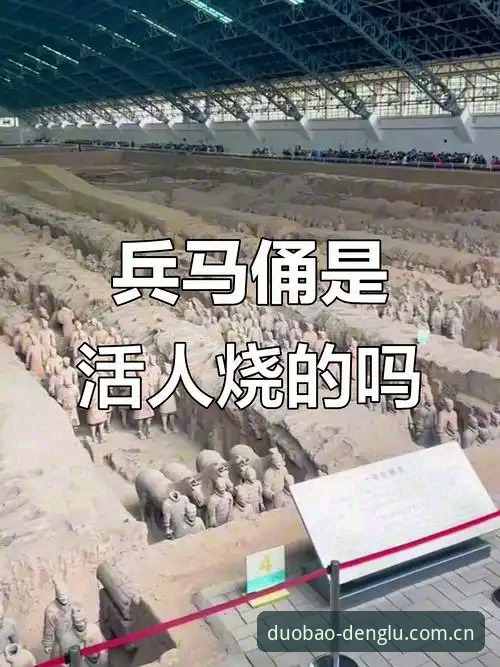 多宝平台娱乐平台使用指南 揭秘:多宝平台娱乐平台使用指南背后的真相,新手必知的5个关键细节